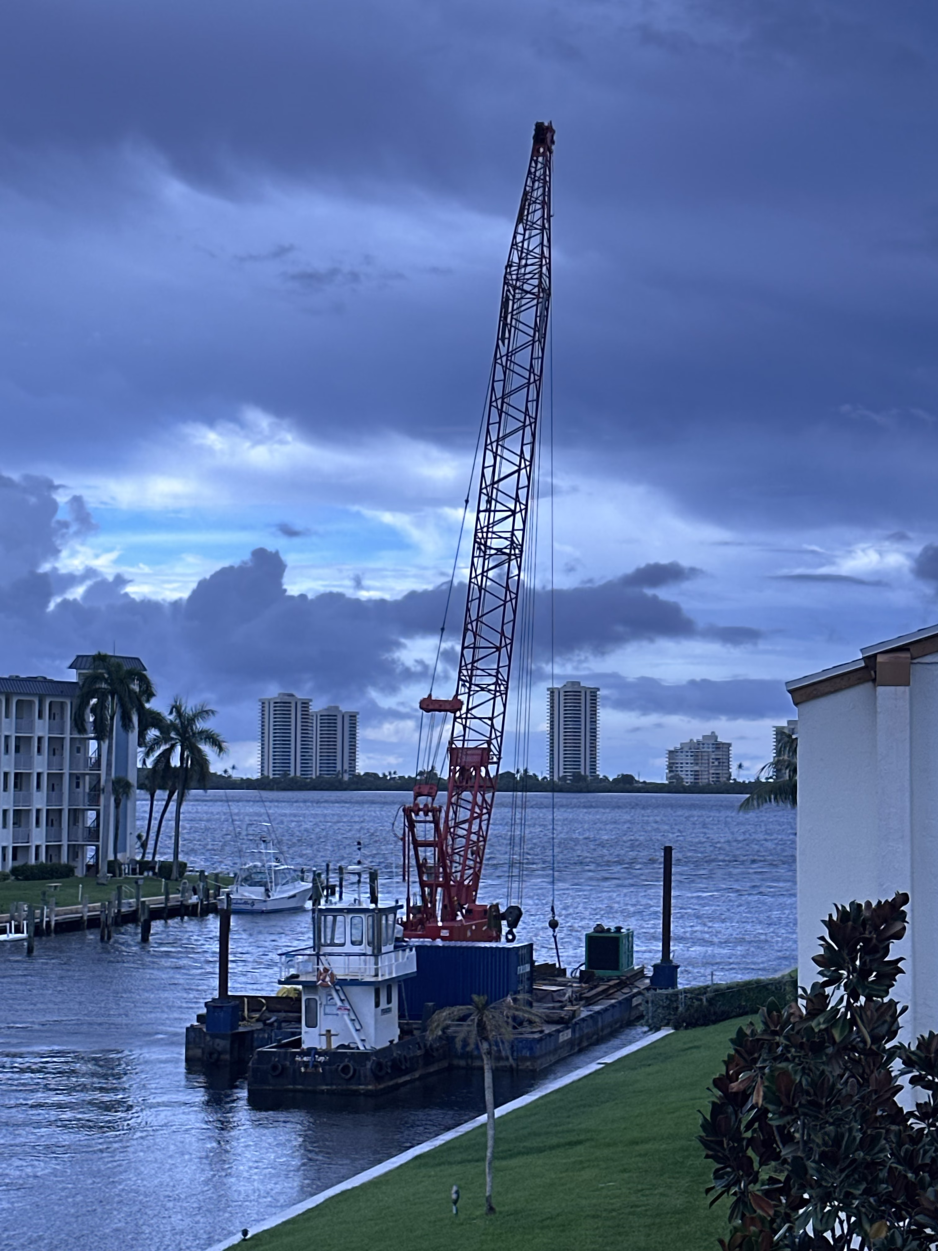 A Palm tree and a Crane