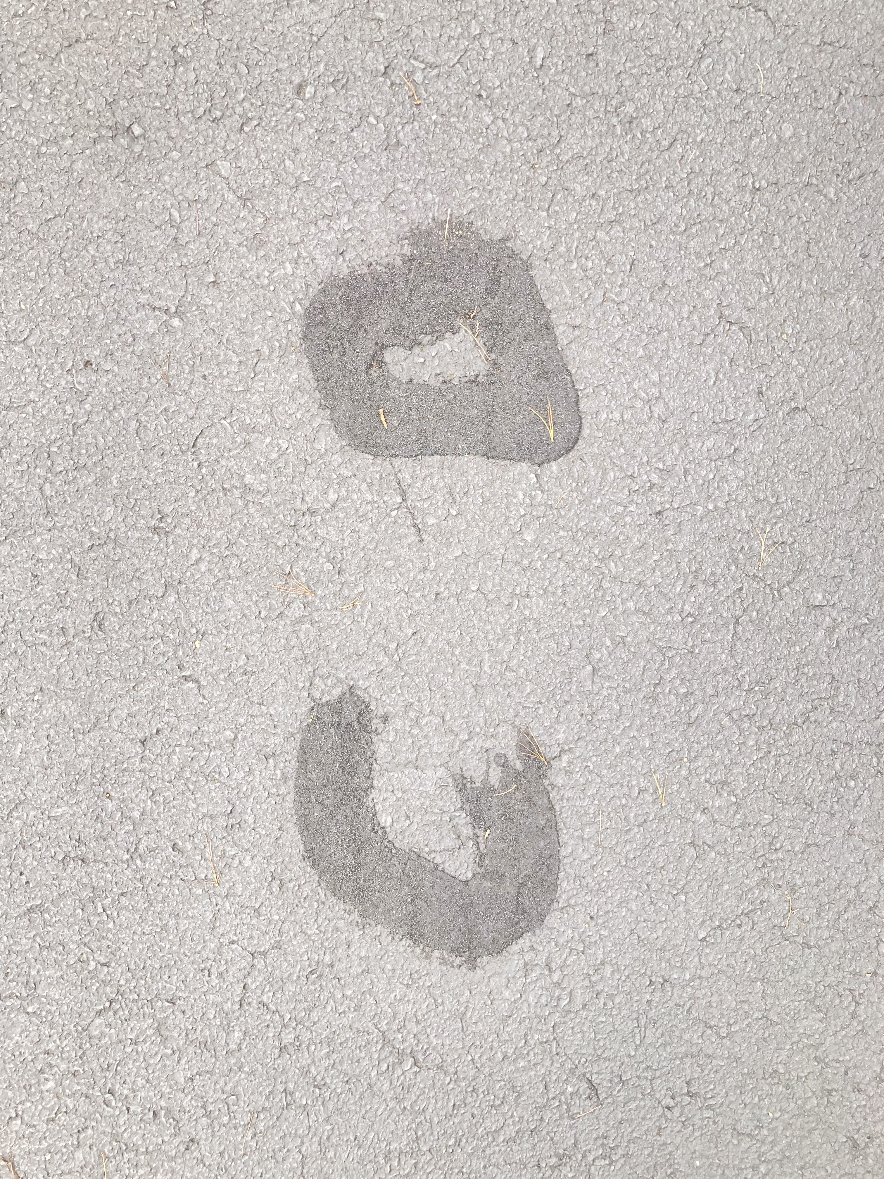 from a parking lot in the morning 