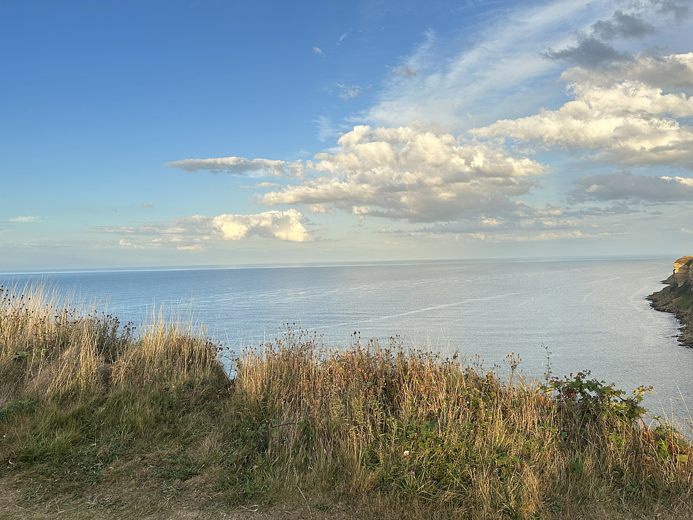 Dream View