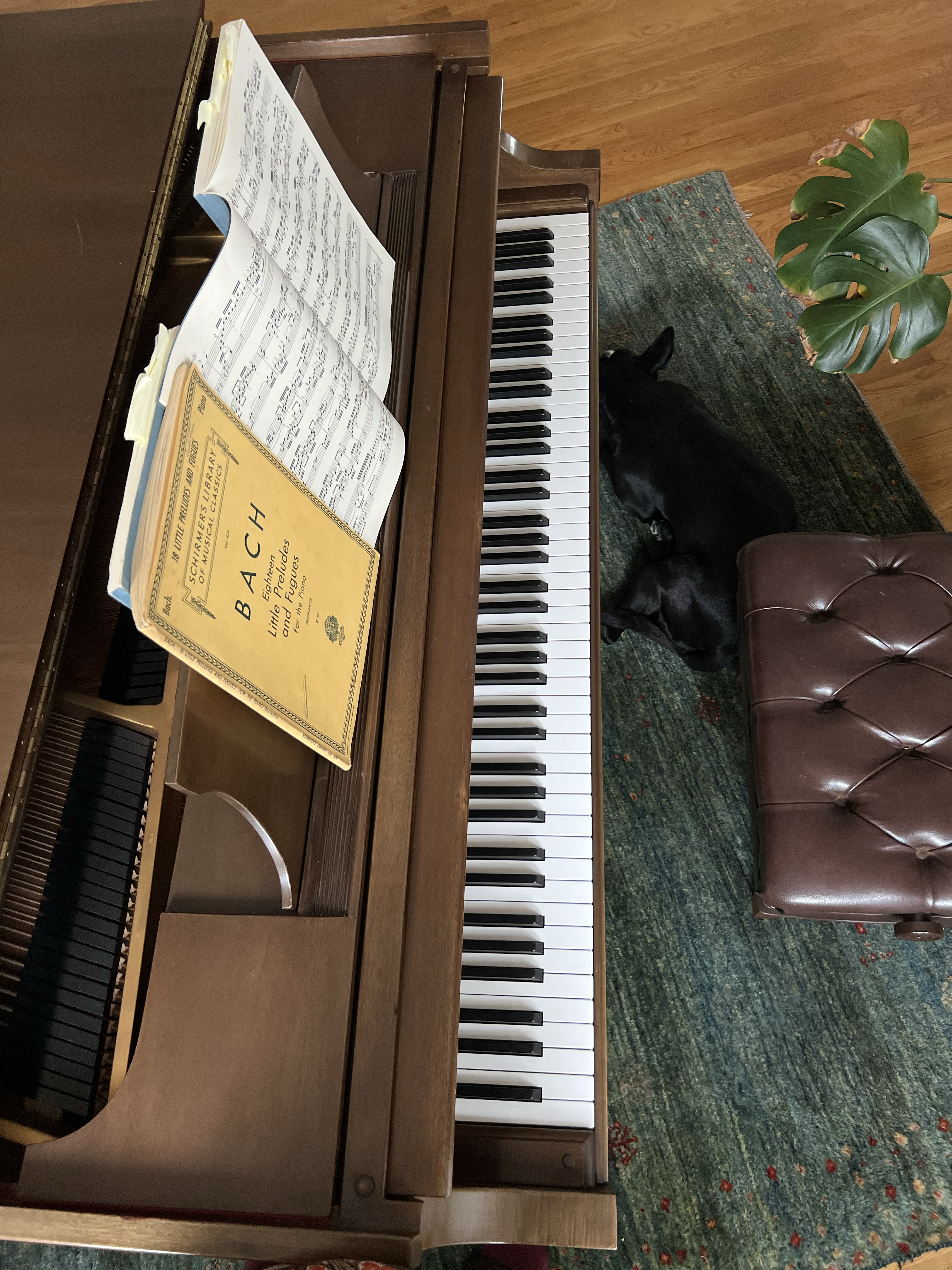 Above the Grand Piano