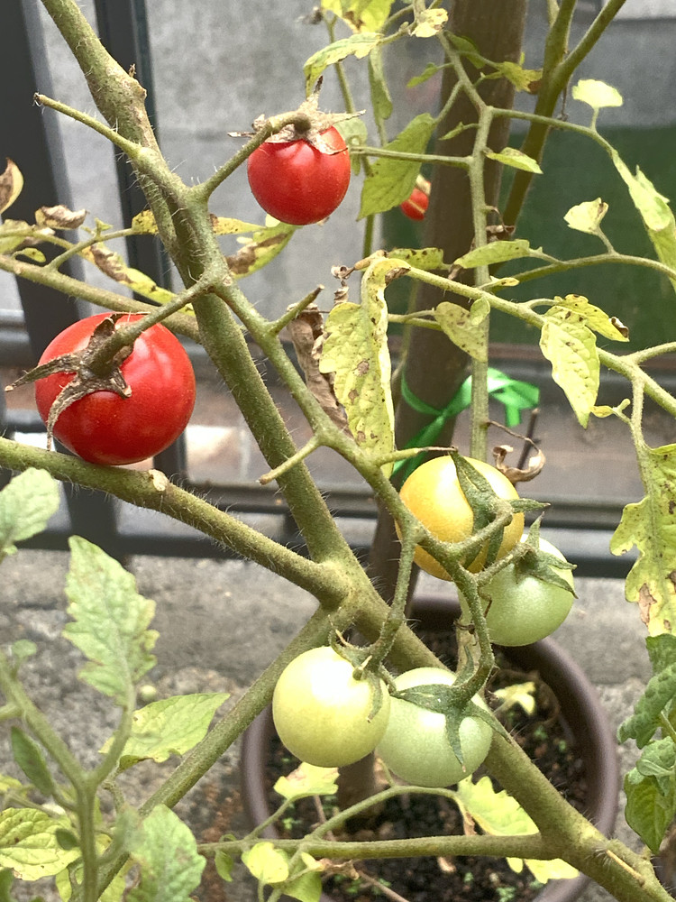 Photo 7303881