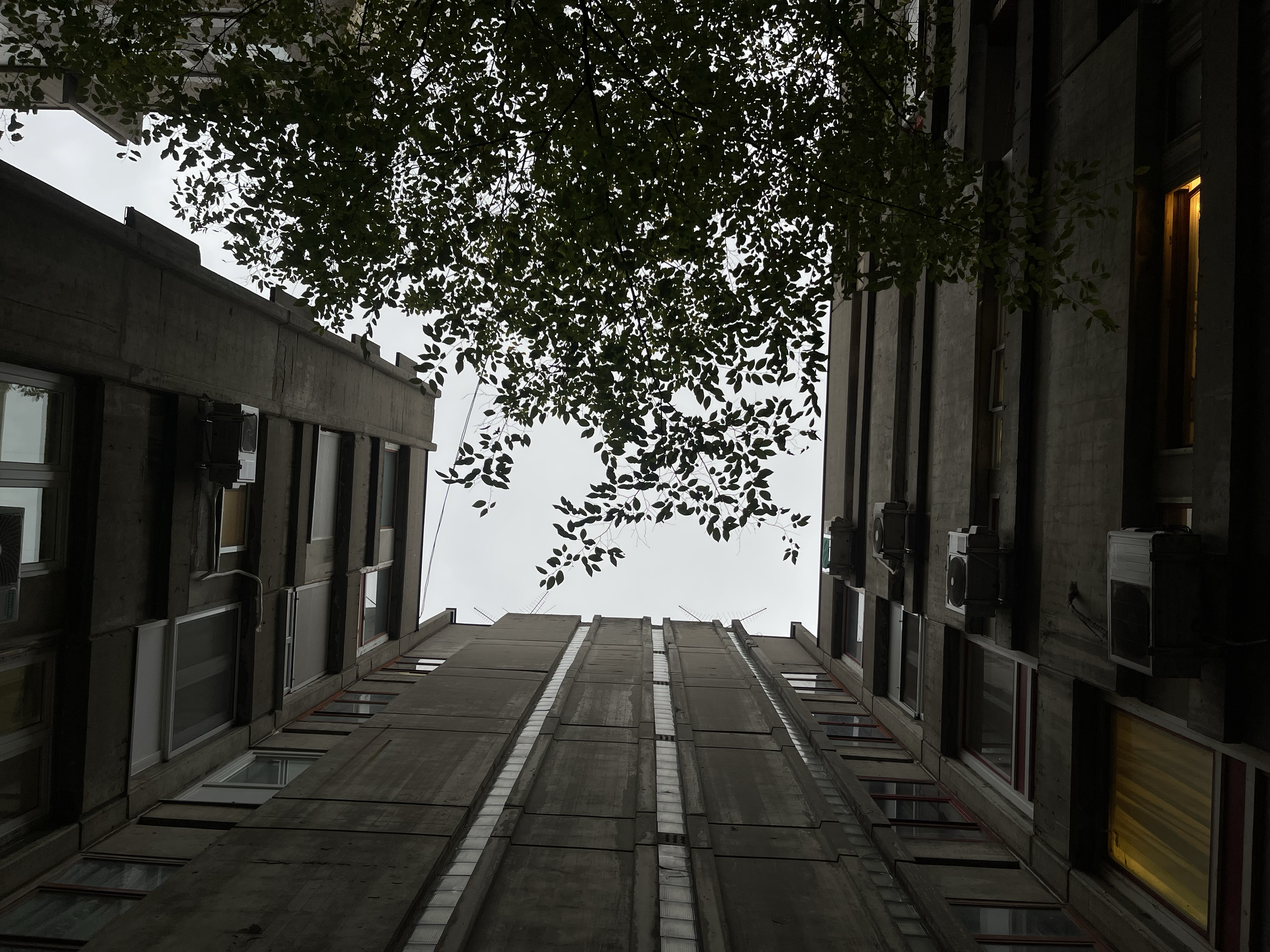 lookup
