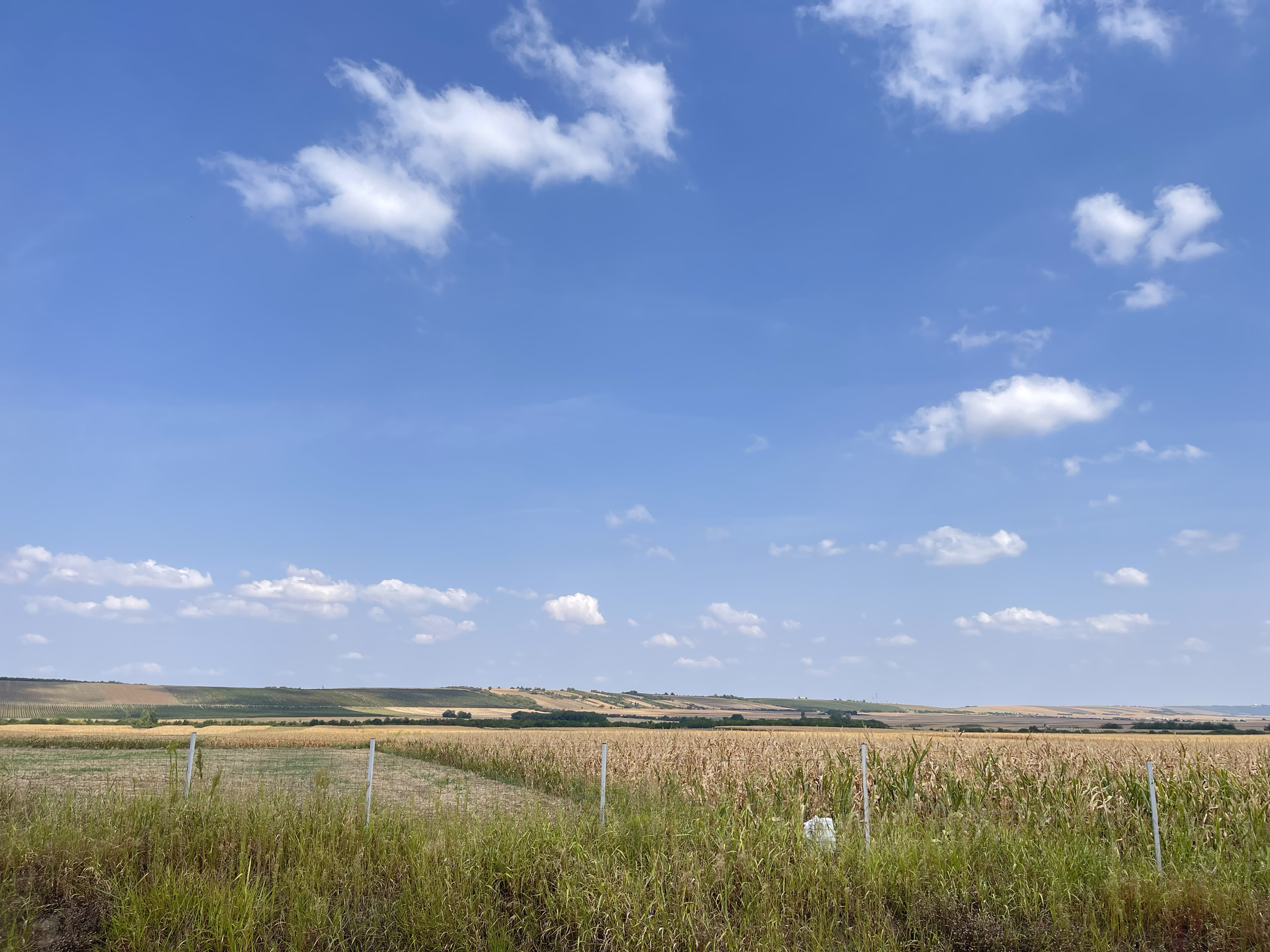 arrived @ train station 