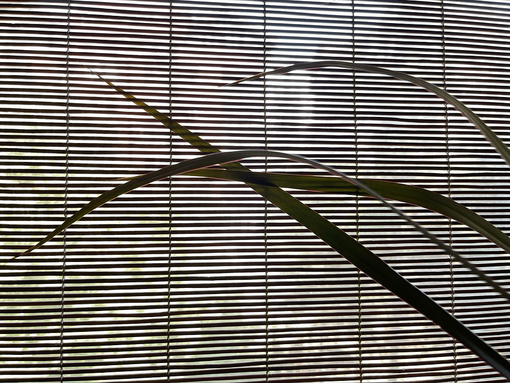 SunStripeS (5)