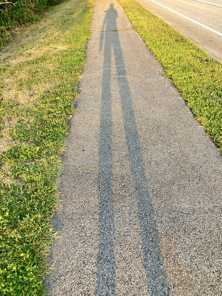 Chase your own 