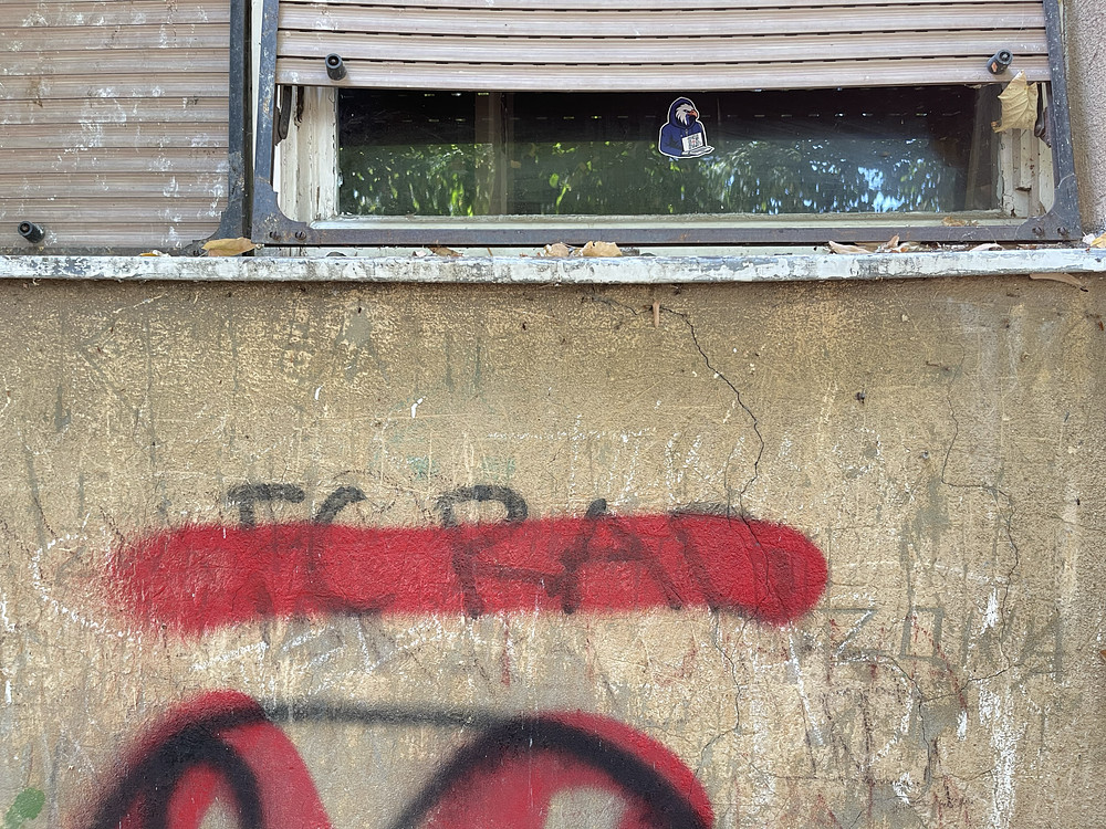 eagle watch