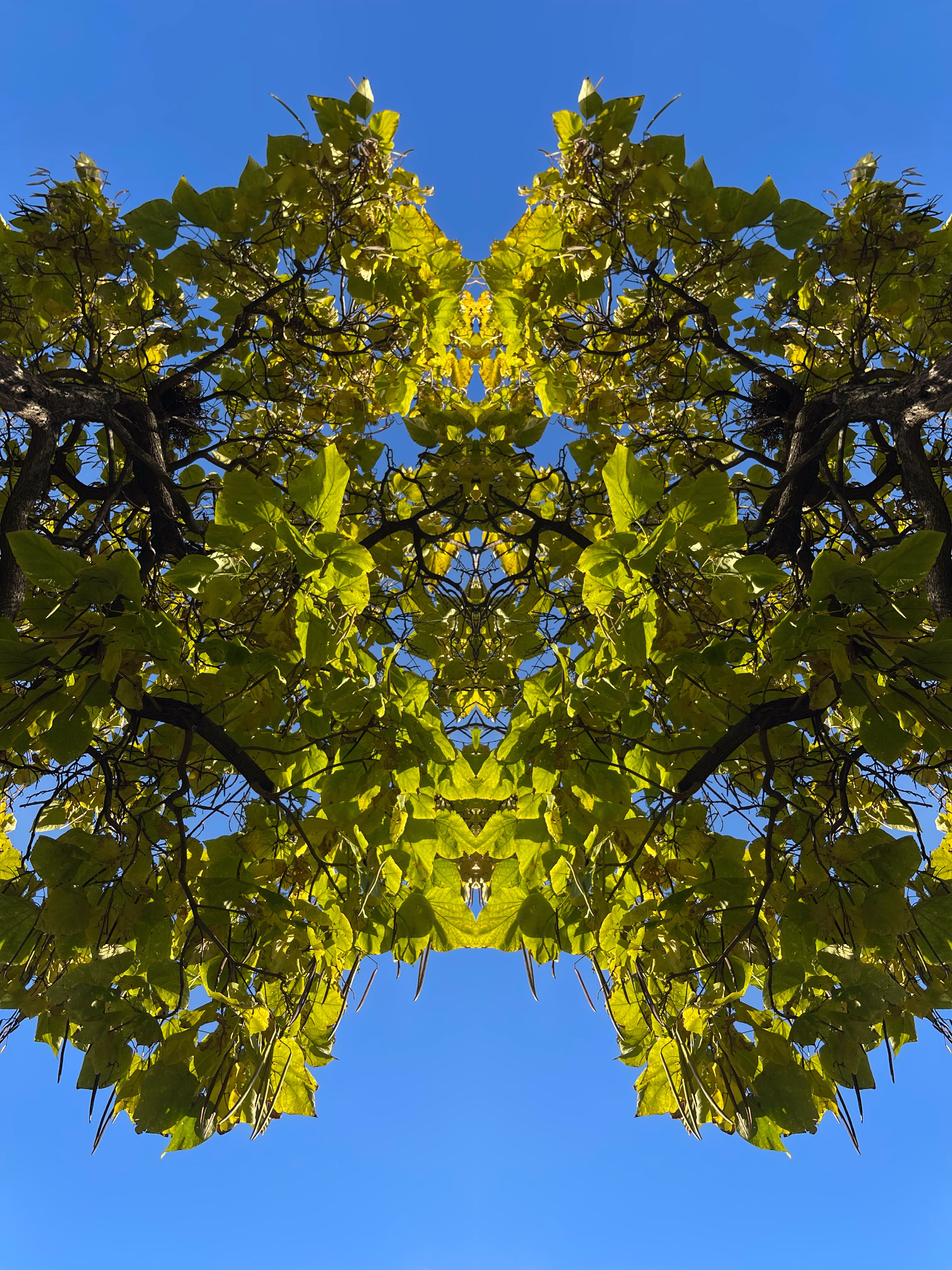 double vision 